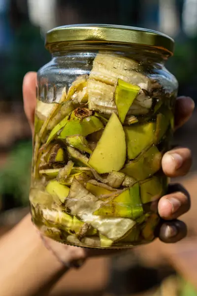 Muz kabuğu gübresi, bir kavanozun içinde muz kabuğu, organik gübre olarak kullanılacak.