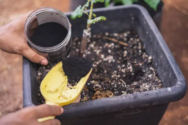 Nemli asidi organik gübre olarak kullanmak nemli ve fulvik asit açısından zengin toprak humusunun aktif bileşeni.