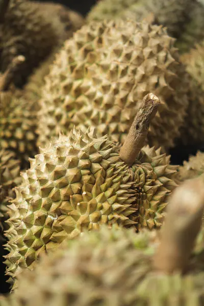 Durian, dikenli meyve ya da dış derisinde çivi, kapalı çekim dış Durian deri dokusu göstermektedir 
