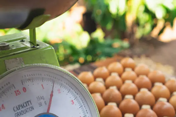 Arkaplan olarak yumurta yığını ve mekanik ölçek