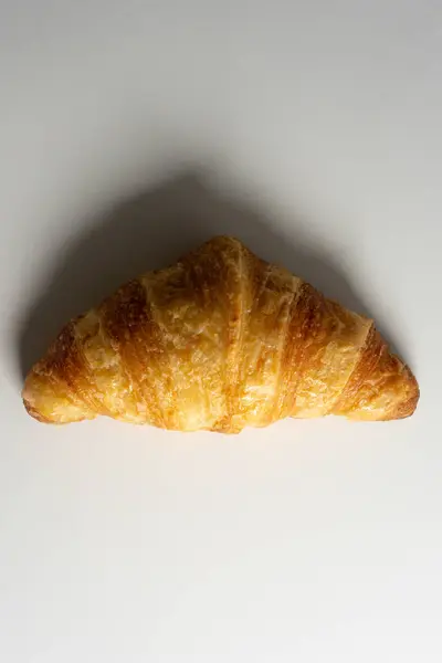 Ayçöreği sert ışıklı, üst görüşlü, beyaz üzerinde izole edilmiş.