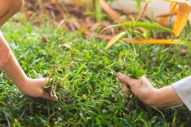 Bir çocuk, annesinin bahçeyle ilgilenmesine yardım eder. Yetiştirdiği otları temizler. Aktif aile aktivitesi kavramı.