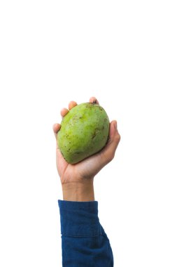 El ele tutuşan yeşil mango, beyaz arka planda izole edilmiş.