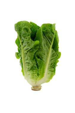 Tüm romaine marulu, taze çiğ sebzeler beyaz arka planda izole edilmiş.