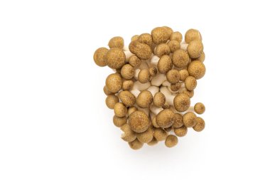 Taze kahverengi shimeji mantar kümesi beyaz arka planda izole edilmiş, üst görünümde kapanır.