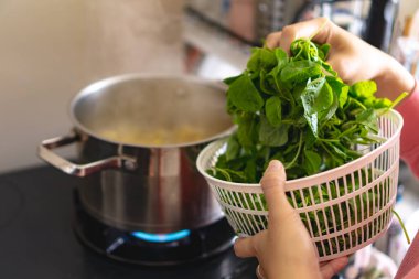 Bir kadın sobanın üstünde ıspanak pişiriyor ya da beyazlatıyor. Elinde bir sepet ıspanak tutuyor, ev yemeği konsepti.