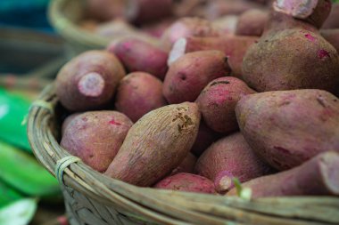 Bambu kabında yeni toplanmış bir patates yığını.