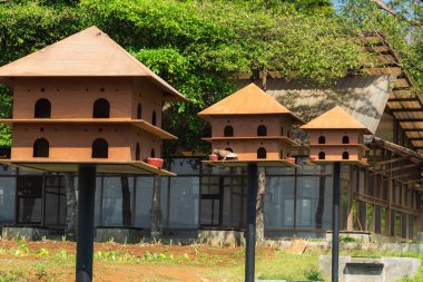 Güvercinlerle dolu güvercinler bulutlu bir günde besleniyor, ahşap malzemelerle inşa ediliyor.