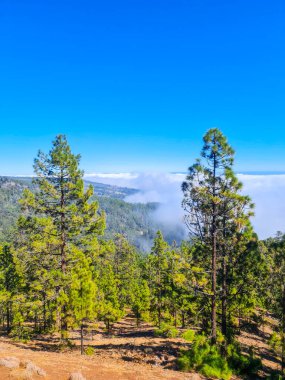 Sea of clouds in El Teide National Park, Tenerife. Canary Islands. Spain. High quality photo clipart