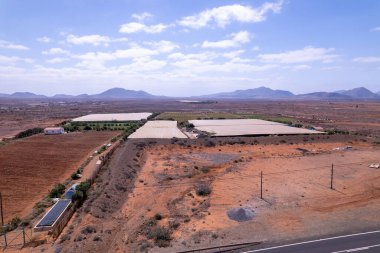 Fuerteventura 'da kırmızı volkanik toprağın ortasında tek başına duran bir seranın fotoğrafı. Benzersiz sahne, insan yapımı yapıyla doğal yalnızlığın çelişkisidir..