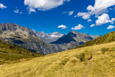 Chamonix Montblanc güzel alp dağları manzara oluşturur. Fransa 'nın yeşil Chamonix vadisinde kar ve buzulla kaplı Alpler dağları. Yazın güzel Alpler manzarası