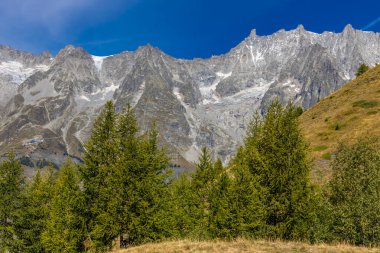 Chamonix Montblanc güzel alp dağları manzara oluşturur. Fransa 'nın yeşil Chamonix vadisinde kar ve buzulla kaplı Alpler dağları. Yazın güzel Alpler manzarası