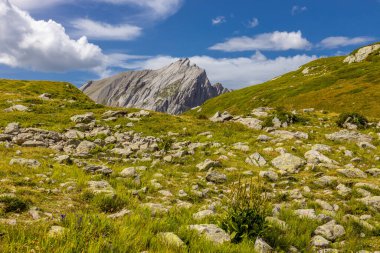 Chamonix Montblanc güzel alp dağları manzara oluşturur. Fransa 'nın yeşil Chamonix vadisinde kar ve buzulla kaplı Alpler dağları. Yazın güzel Alpler manzarası
