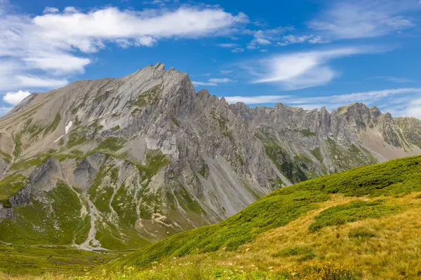 Chamonix Montblanc güzel alp dağları manzara oluşturur. Fransa 'nın yeşil Chamonix vadisinde kar ve buzulla kaplı Alpler dağları. Yazın güzel Alpler manzarası