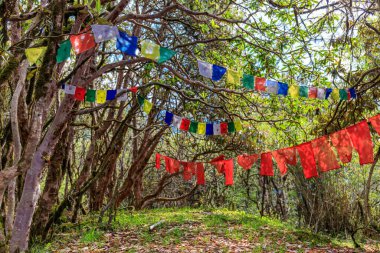 Nepal 'in görkemli dağlarında dalgalanan renkli Nepal ve Tibet dua bayrakları. Barışı, merhameti ve bereketi simgeleyen bayraklar Himalaya dağlarının sakin manzarasını süslüyor.