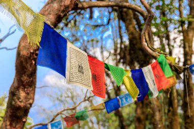 Nepal 'in görkemli dağlarında dalgalanan renkli Nepal ve Tibet dua bayrakları. Barışı, merhameti ve bereketi simgeleyen bayraklar Himalaya dağlarının sakin manzarasını süslüyor.