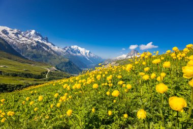 Montblanc turu, Alpler 'in güzel dağ merdivenleri, Montblanc' ın kar zirvesi ve Aiguille du Midi 'nin kayalık tepeleri yaz güneşli gökyüzü, Chamonix' de yürüyüş ve yürüyüş.