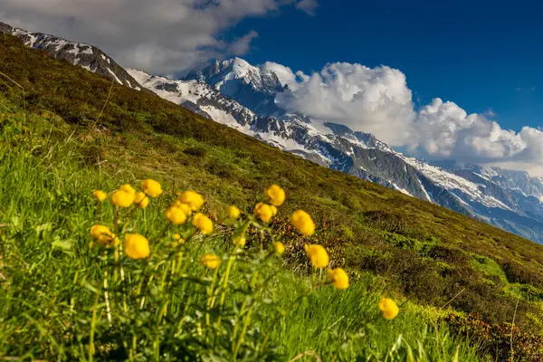 Stock image Tour du Montblanc beautiful mountain ladscapes of the Alps green valley, snow summit of Montblanc and rocky peaks of Aiguille du Midi in summer sunny weather blue sky, trekking and hiking in Chamonix