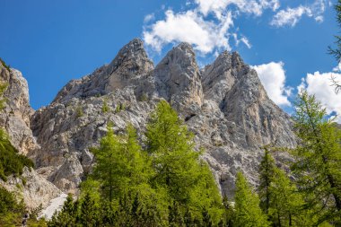 Dolomitler dağları, Alpi Dolomiti yazın güzel manzarası. Cortina 'd' Amprezzo yakınlarındaki Alp Dağları zirveleri ve yeşil vadi dağlarının tepeleri.