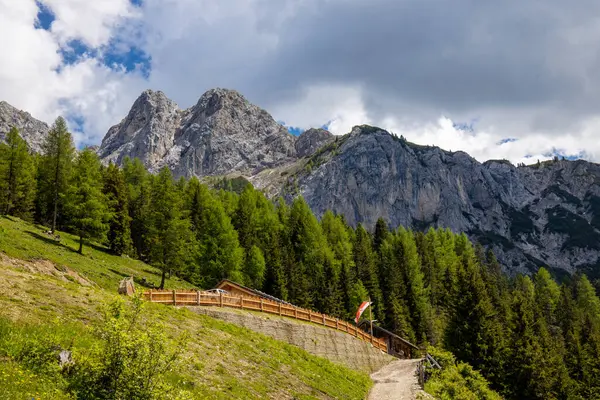 Dolomitler dağları, Alpi Dolomiti yazın güzel manzarası. Cortina 'd' Amprezzo yakınlarındaki Alp Dağları zirveleri ve yeşil vadi dağlarının tepeleri.