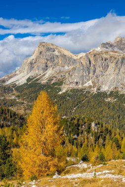 Dolomitler dağları, Alpi Dolomiti yazın güzel manzarası. Cortina 'd' Amprezzo yakınlarındaki Alp Dağları zirveleri ve yeşil vadi dağlarının tepeleri.