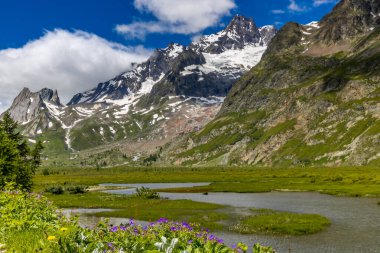 Fransa 'nın Chamonix vadisindeki Alpler' in dağ manzarası. Yazın Alp manzarası güneşli hava Tour du Montblanc, TMB yürüyüş rotası
