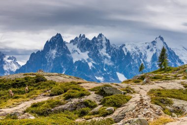 Fransa 'nın Chamonix vadisindeki Alpler' in dağ manzarası. Yazın Alp manzarası güneşli hava Tour du Montblanc, TMB yürüyüş rotası