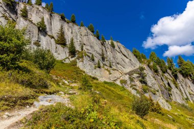 Fransa 'nın Chamonix vadisindeki Alpler' in dağ manzarası. Yazın Alp manzarası güneşli hava Tour du Montblanc, TMB yürüyüş rotası