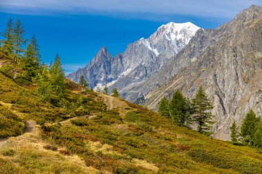 Fransa 'nın Chamonix vadisindeki Alpler' in dağ manzarası. Yazın Alp manzarası güneşli hava Tour du Montblanc, TMB yürüyüş rotası