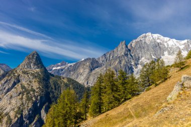Fransa 'nın Chamonix vadisindeki Alpler' in dağ manzarası. Yazın Alp manzarası güneşli hava Tour du Montblanc, TMB yürüyüş rotası