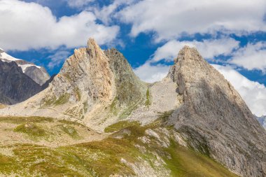 Fransa 'nın Chamonix vadisindeki Alpler' in dağ manzarası. Yazın Alp manzarası güneşli hava Tour du Montblanc, TMB yürüyüş rotası