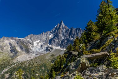 Fransa 'nın Chamonix vadisindeki Alpler' in dağ manzarası. Yazın Alp manzarası güneşli hava Tour du Montblanc, TMB yürüyüş rotası