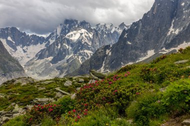 Alp dağları çok güzel bir manzara. Montblanc dağlarının manzaralı turu yaz aylarındaki güzel ışık altında dağ zirveleri ve göller, Fransız Alpleri