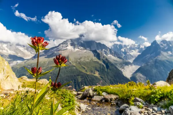 Alp dağları çok güzel bir manzara. Montblanc dağlarının manzaralı turu yaz aylarındaki güzel ışık altında dağ zirveleri ve göller, Fransız Alpleri