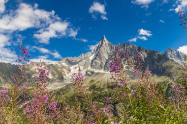 Alp dağları çok güzel bir manzara. Montblanc dağlarının manzaralı turu yaz aylarındaki güzel ışık altında dağ zirveleri ve göller, Fransız Alpleri