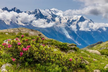 Mont Blanc, Monte Bianco Dağı zirvesi kar kubbesi Fransa 'daki Chamonix vadisinde. Avrupa 'nın Alplerdeki en yüksek zirvesi, Montblanc manzarası