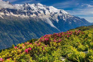 Mont Blanc, Monte Bianco Dağı zirvesi kar kubbesi Fransa 'daki Chamonix vadisinde. Avrupa 'nın Alplerdeki en yüksek zirvesi, Montblanc manzarası