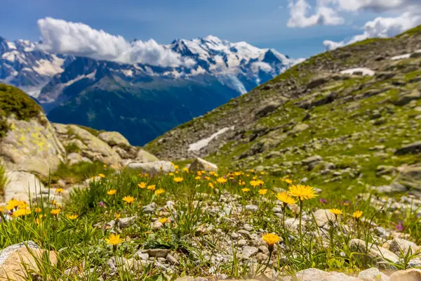 Mont Blanc, Monte Bianco Dağı zirvesi kar kubbesi Fransa 'daki Chamonix vadisinde. Avrupa 'nın Alplerdeki en yüksek zirvesi, Montblanc manzarası