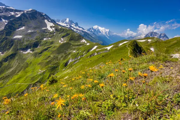 Mont Blanc, Monte Bianco Dağı zirvesi kar kubbesi Fransa 'daki Chamonix vadisinde. Avrupa 'nın Alplerdeki en yüksek zirvesi, Montblanc manzarası