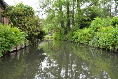 Bu büyüleyici görüntü, Almanya 'nın pitoresk bir bölgesi olan Lubbenau / Spreewald' ın dingin güzelliğini yansıtıyor. Fotoğrafta yemyeşil sularda salınan sakin bir kanal var. Geleneksel tekneler suyun üzerinde nazikçe yüzüyor. Yoğun orman