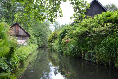 Bu büyüleyici görüntü, Almanya 'nın pitoresk bir bölgesi olan Lubbenau / Spreewald' ın dingin güzelliğini yansıtıyor. Fotoğrafta yemyeşil sularda salınan sakin bir kanal var. Geleneksel tekneler suyun üzerinde nazikçe yüzüyor. Yoğun orman