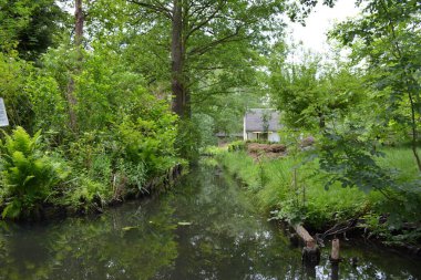 Bu büyüleyici görüntü, Almanya 'nın pitoresk bir bölgesi olan Lubbenau / Spreewald' ın dingin güzelliğini yansıtıyor. Fotoğrafta yemyeşil sularda salınan sakin bir kanal var. Geleneksel tekneler suyun üzerinde nazikçe yüzüyor. Yoğun orman