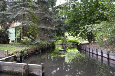 Bu büyüleyici görüntü, Almanya 'nın pitoresk bir bölgesi olan Lubbenau / Spreewald' ın dingin güzelliğini yansıtıyor. Fotoğrafta yemyeşil sularda salınan sakin bir kanal var. Geleneksel tekneler suyun üzerinde nazikçe yüzüyor. Yoğun orman