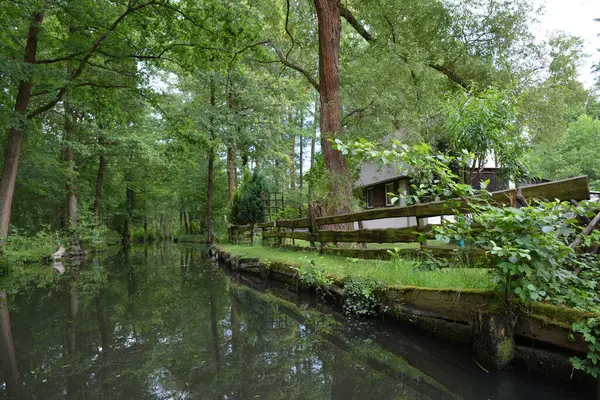 Bu büyüleyici görüntü, Almanya 'nın pitoresk bir bölgesi olan Lubbenau / Spreewald' ın dingin güzelliğini yansıtıyor. Fotoğrafta yemyeşil sularda salınan sakin bir kanal var. Geleneksel tekneler suyun üzerinde nazikçe yüzüyor. Yoğun orman