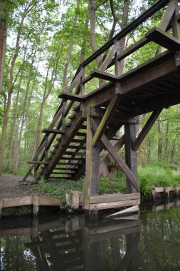 Bu büyüleyici görüntü, Almanya 'nın pitoresk bir bölgesi olan Lubbenau / Spreewald' ın dingin güzelliğini yansıtıyor. Fotoğrafta yemyeşil sularda salınan sakin bir kanal var. Geleneksel tekneler suyun üzerinde nazikçe yüzüyor. Yoğun orman
