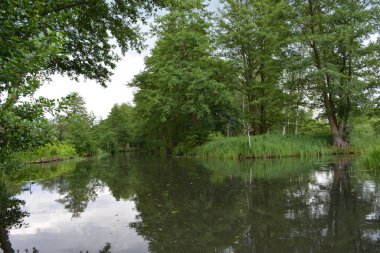 Bu büyüleyici görüntü, Almanya 'nın pitoresk bir bölgesi olan Lubbenau / Spreewald' ın dingin güzelliğini yansıtıyor. Fotoğrafta yemyeşil sularda salınan sakin bir kanal var. Geleneksel tekneler suyun üzerinde nazikçe yüzüyor. Yoğun orman