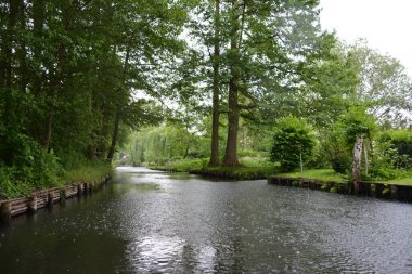 Bu büyüleyici görüntü, Almanya 'nın pitoresk bir bölgesi olan Lubbenau / Spreewald' ın dingin güzelliğini yansıtıyor. Fotoğrafta yemyeşil sularda salınan sakin bir kanal var. Geleneksel tekneler suyun üzerinde nazikçe yüzüyor. Yoğun orman