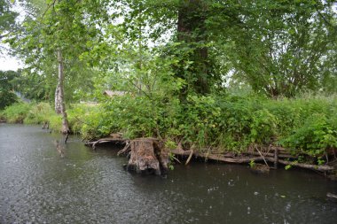 Bu büyüleyici görüntü, Almanya 'nın pitoresk bir bölgesi olan Lubbenau / Spreewald' ın dingin güzelliğini yansıtıyor. Fotoğrafta yemyeşil sularda salınan sakin bir kanal var. Geleneksel tekneler suyun üzerinde nazikçe yüzüyor. Yoğun orman