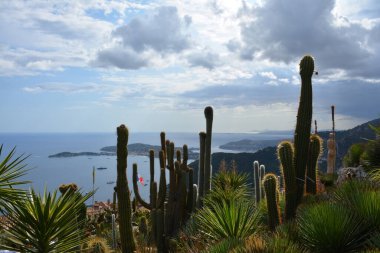 Barselona şehri manzarası, İspanya