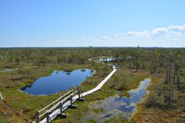 Letonya 'nın Jurmala kentindeki Kemeri Ulusal Parkı geniş sulak alanları ve büyüleyici bataklık manzaralarıyla bilinen büyüleyici bir yerdir. Park, ziyaretçilere eşsiz ekosistemini keşfetme olanağı sağlayan iyi korunmuş bir tahta kaldırım ağına sahip.